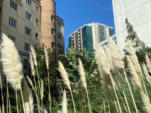 Barbekü Alanımızdaki Yenilikler